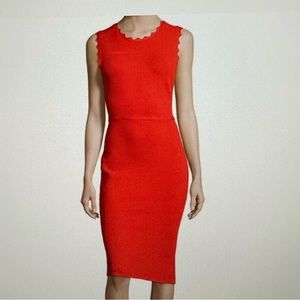 A.L.C Aldridge Scalloped Dress. SIZE SMALL (S) IN RED